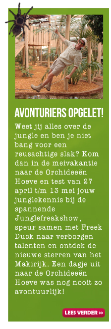 Avonturiers opgelet