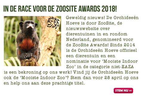 Zoosite awards