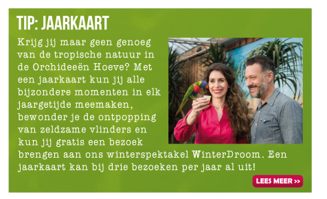 Vakantiekiekjes winactie