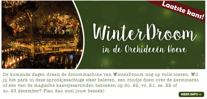 WinterDroom in de Orchideeën Hoeve