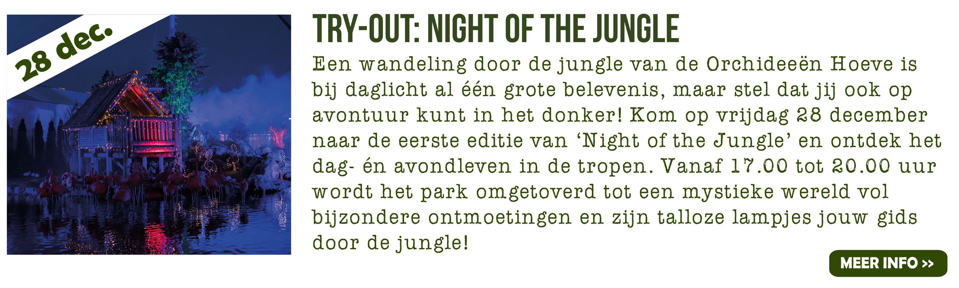 Night of the jungle