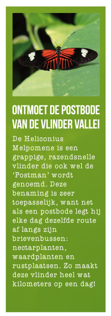 Postbode vlinder