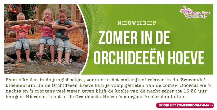 Zomer in de Orchideeën Hoeve