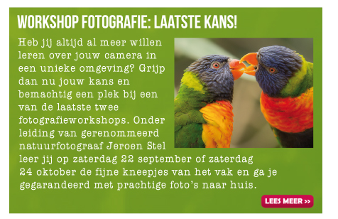 Workshop fotografie