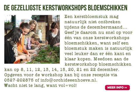 Kerstworkshops bloemschikken