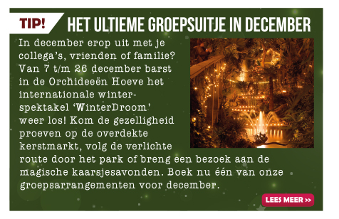 Groepsuitje WinterDroom