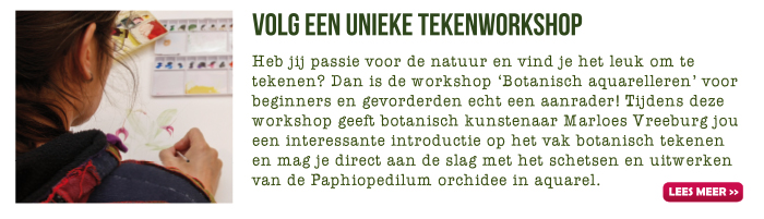 Tekenworkshop in de Orchideeën Hoeve