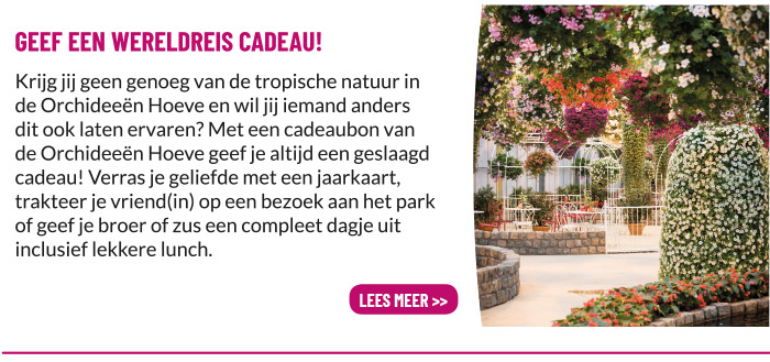 Geef een dagje Orchideeën Hoeve cadeau