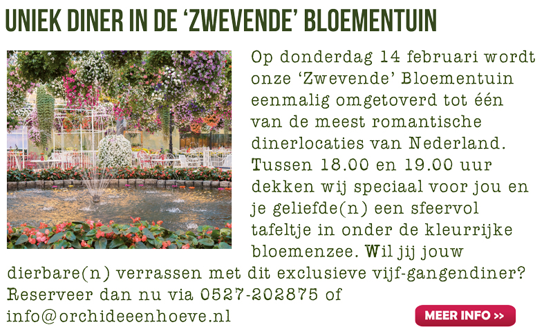 Valentijnsdiner in de Orchideeën Hoeve