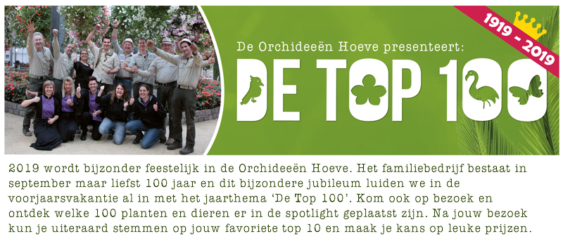 De top 100 in de Orchideeën Hoeve