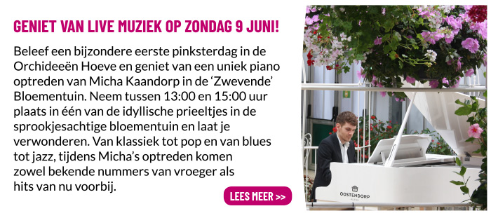 Live muziek eerste pinksterdag