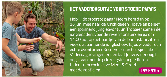 Vaderdag in de Orchideeën Hoeve