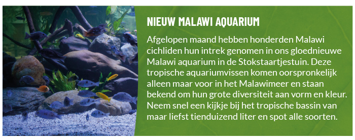 Nieuw aquarium