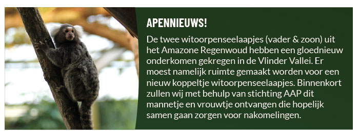 Apennieuws