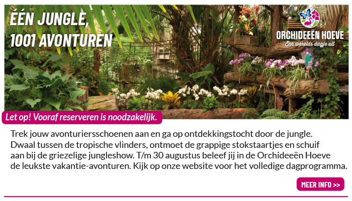 Eropuit in de Jungle