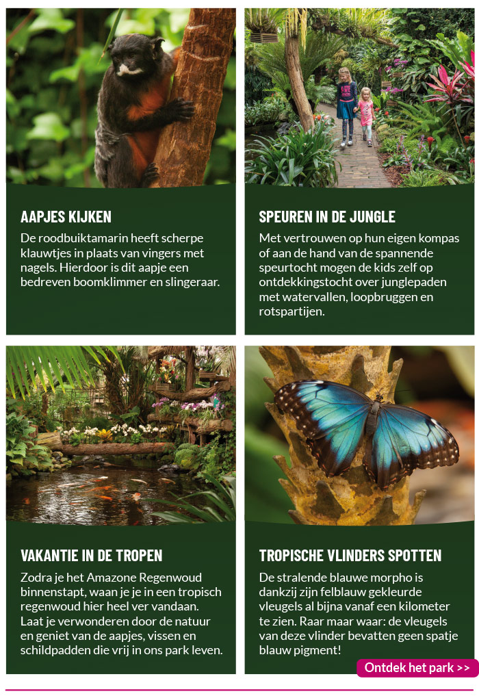 avonturen in de jungle