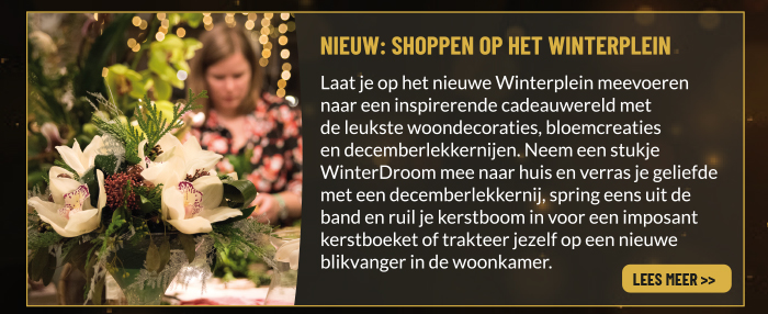 Nieuw winterplein