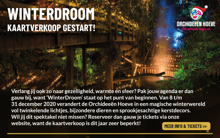 Kaartverkoop WinterDroom gestart