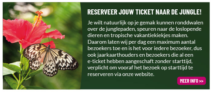 Tickets reserveren