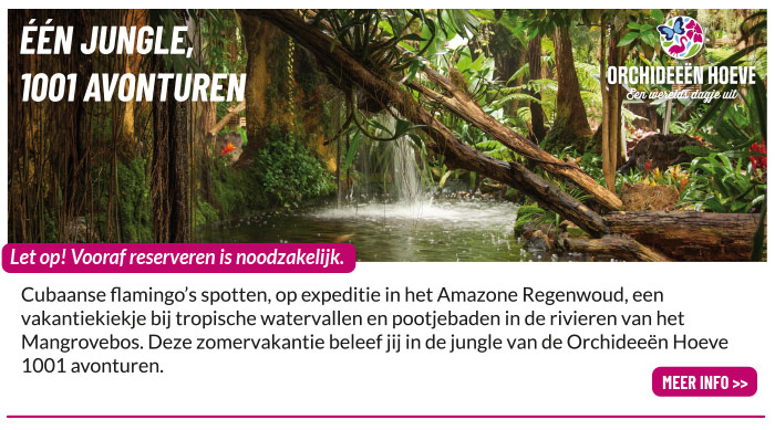 Eropuit in de Jungle