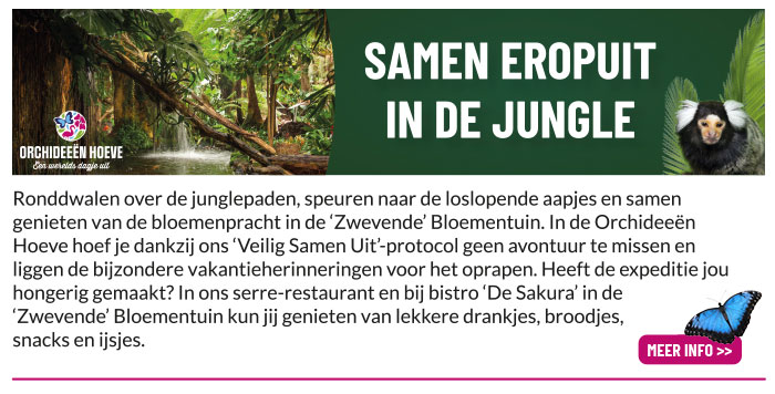 Eropuit in de Jungle