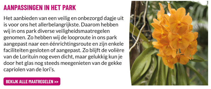 Aanpassingen in het park