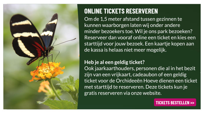 Online tickets bestellen