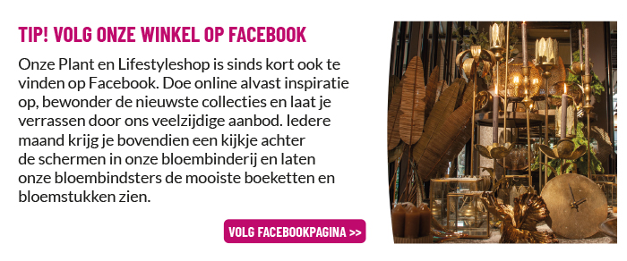 Nieuwe Facebookpagina