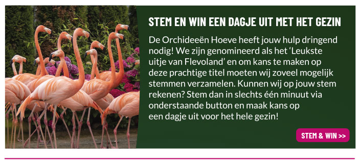 Stem en win