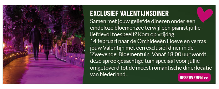 Valentijnsdiner