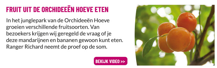 Kun je het fruit eten