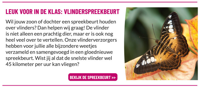 Vlinderspreekbeurt