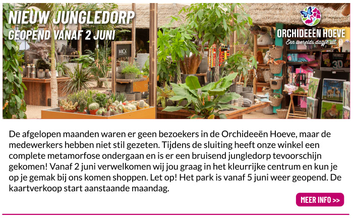 Nieuw jungledorp