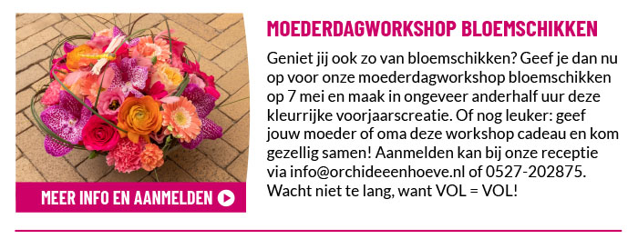 Moederdagworkshop