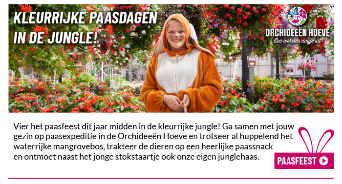 Paasfeest in de jungle